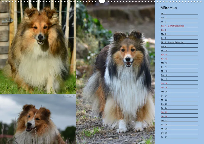 Birkenshelties Kalender 2023