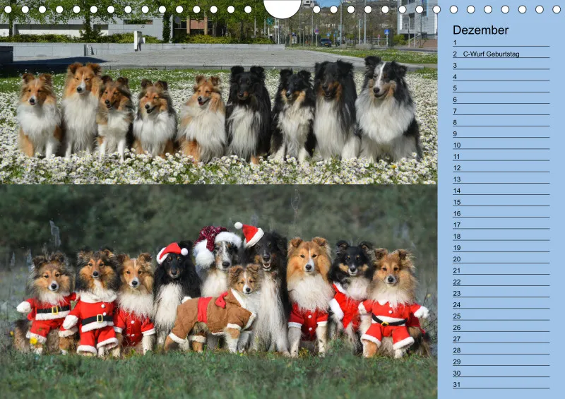 Birkenshelties Kalender 2023 in A4