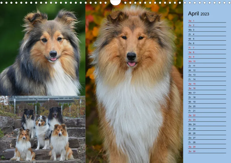 Birkenshelties Kalender 2023