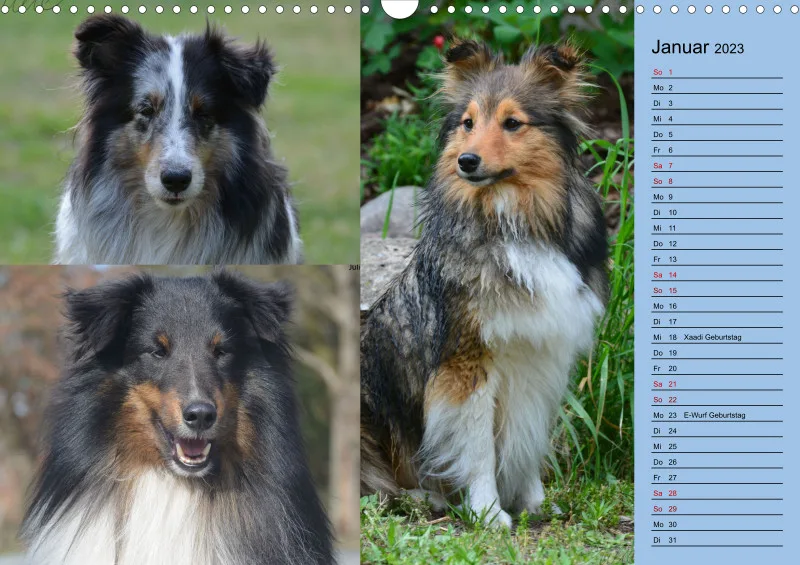 Birkenshelties Kalender 2023