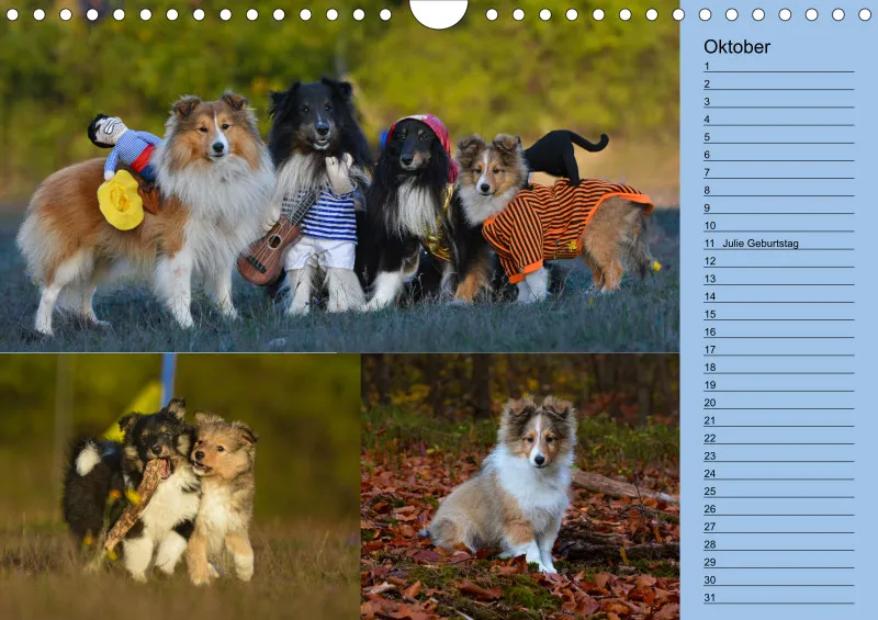Birkenshelties Kalender 2023 in A4