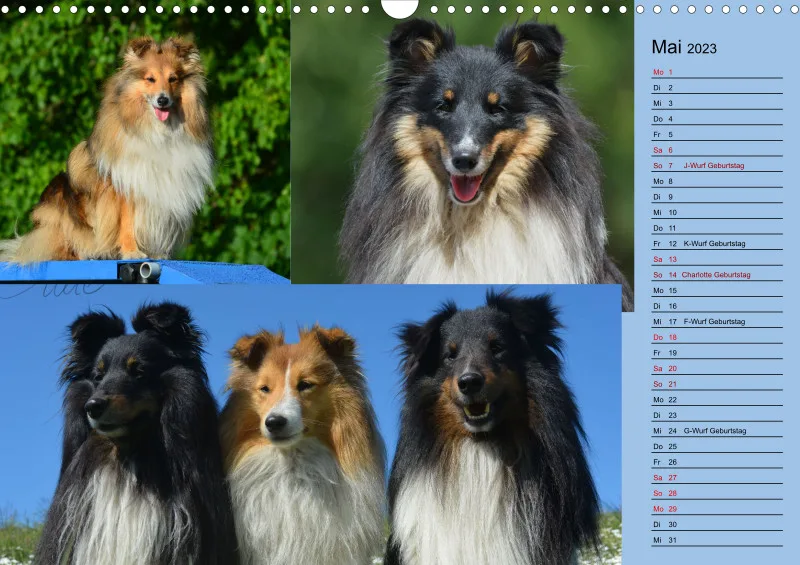 Birkenshelties Kalender 2023