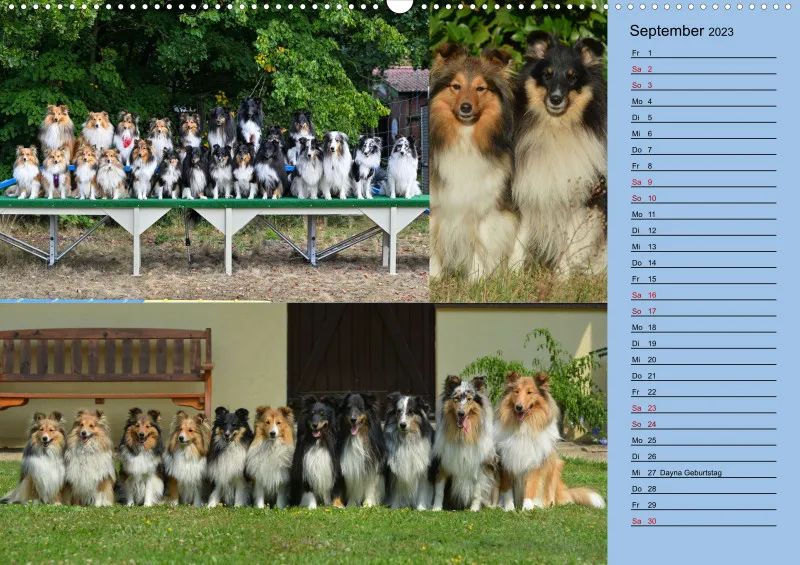 Birkenshelties Kalender 2023