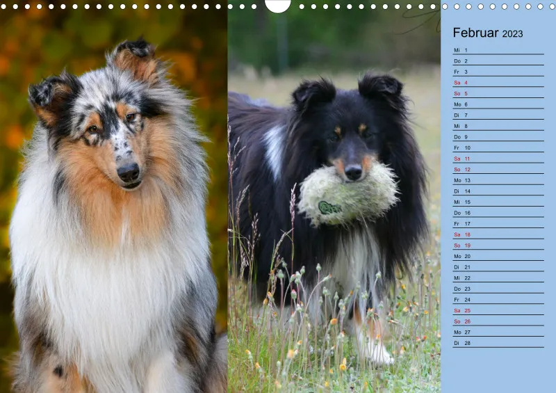 Birkenshelties Kalender 2023