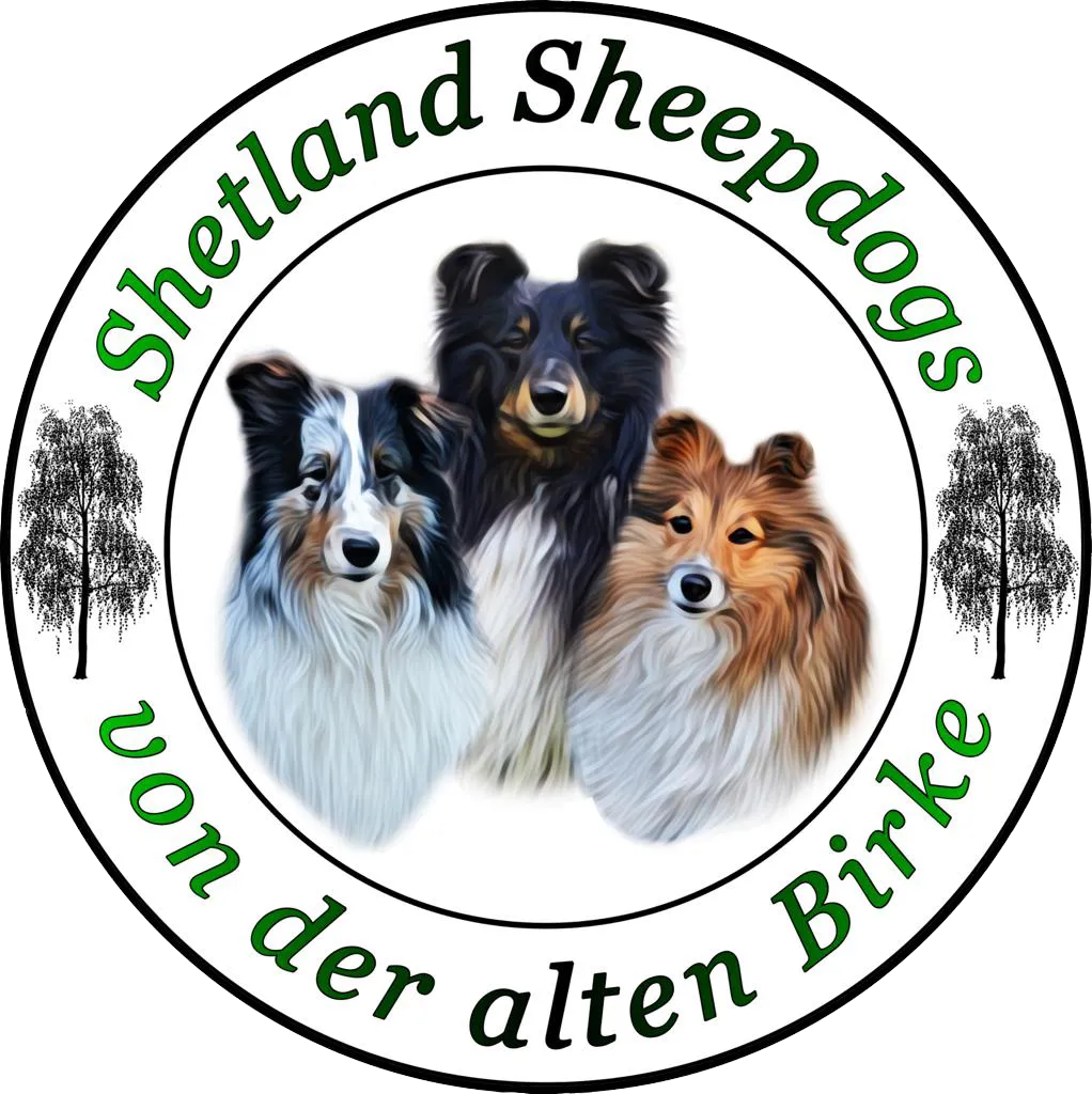 Birkenshelties Kalender-Shop