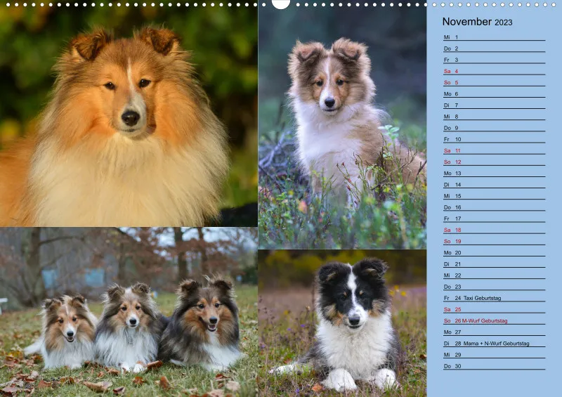 Birkenshelties Kalender 2023