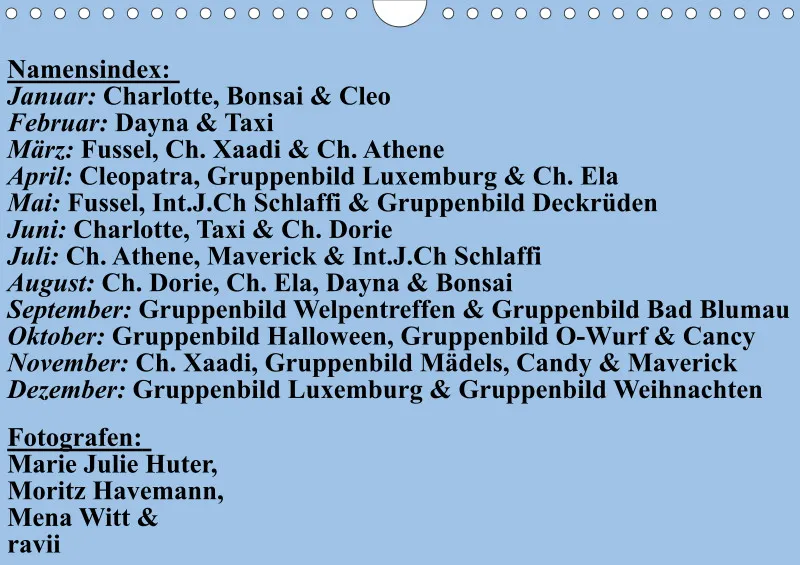 Birkenshelties Kalender 2023 in A4