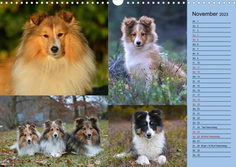 Birkenshelties Kalender 2023