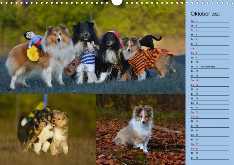 Birkenshelties Kalender 2023