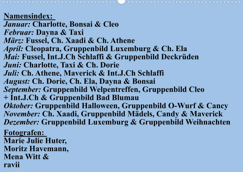 Birkenshelties Kalender 2023
