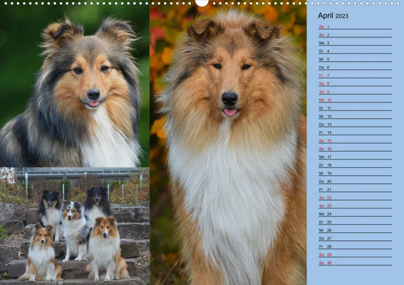 Birkenshelties Kalender 2023