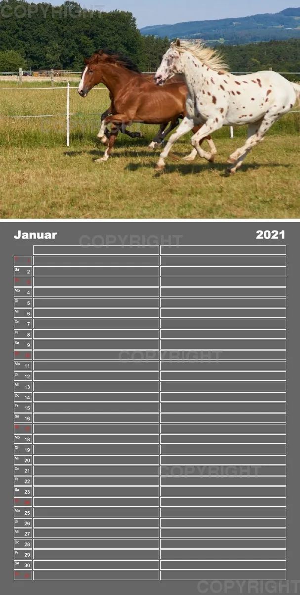 Familienplaner / Nr. 5