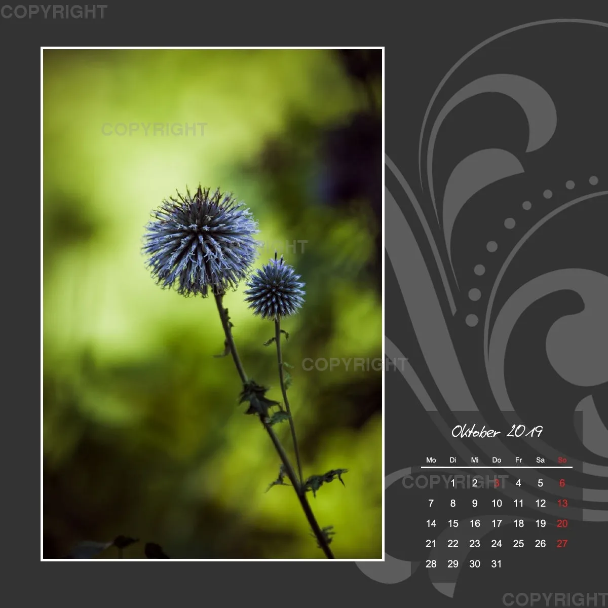 Fotokalender / Gartenzauber, 2019