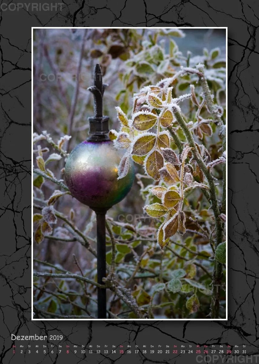 Fotokalender / Gartenzauber, 2019