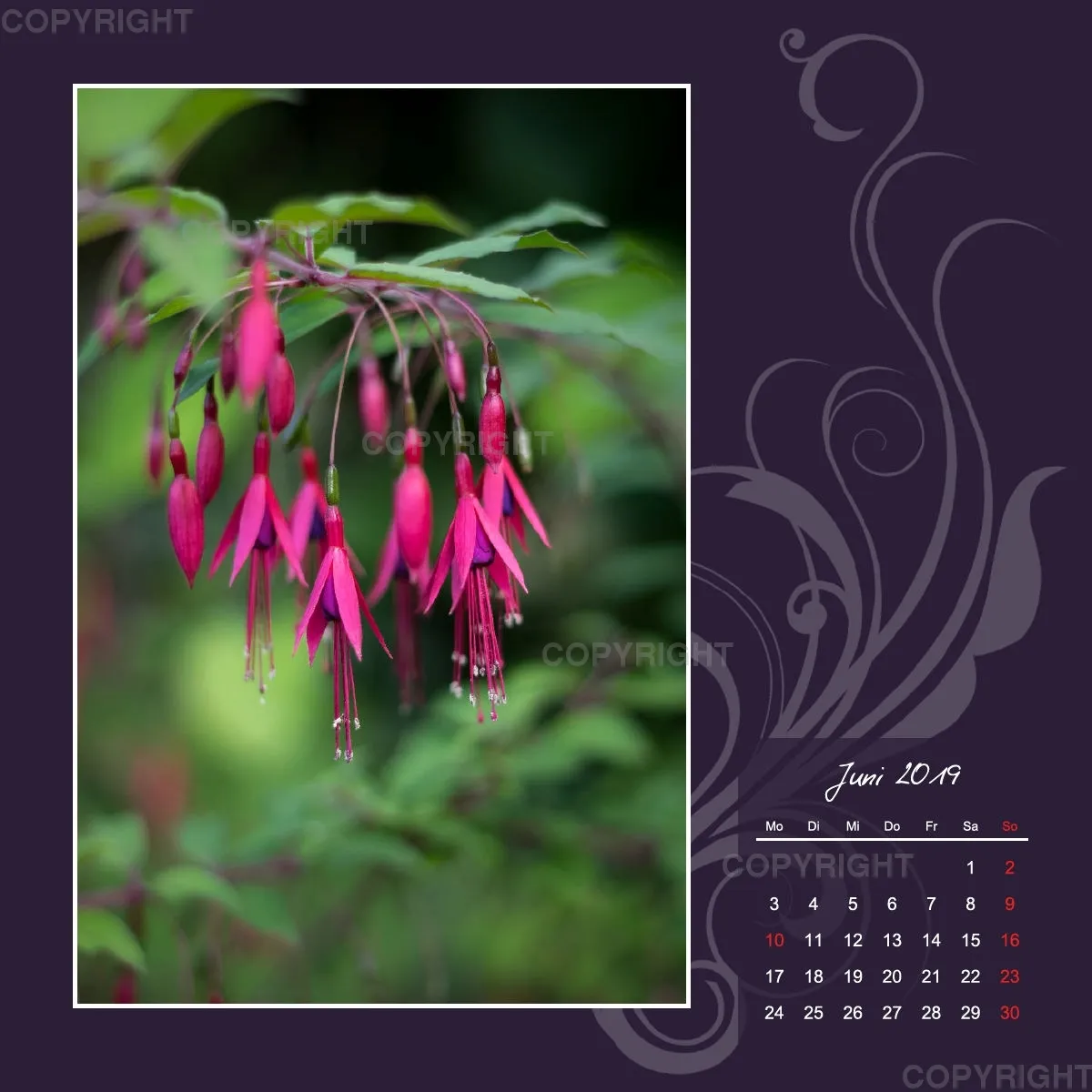 Fotokalender / Gartenzauber, 2019