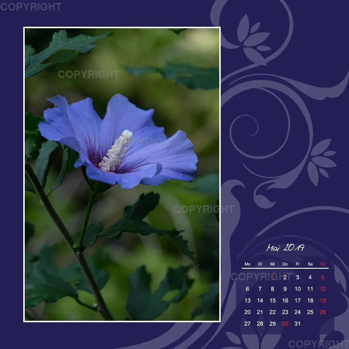 Fotokalender / Gartenzauber, 2019