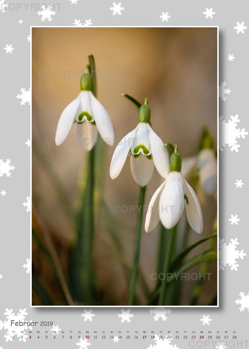 Fotokalender / Gartenzauber, 2019