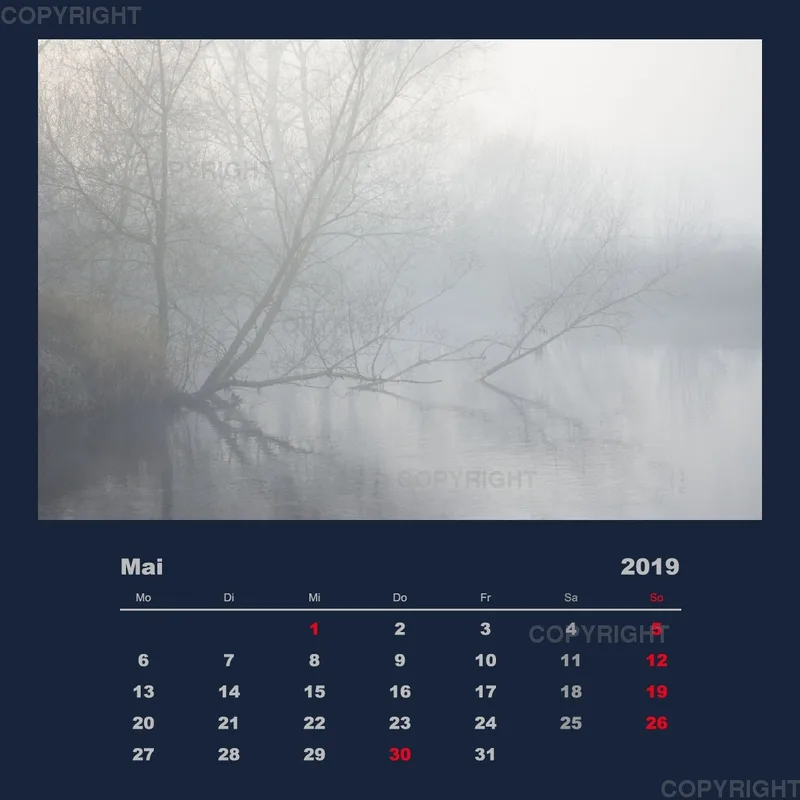Northeim im Nebel