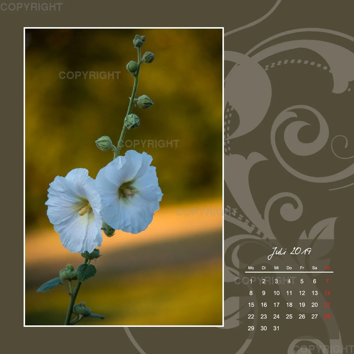 Fotokalender / Gartenzauber, 2019