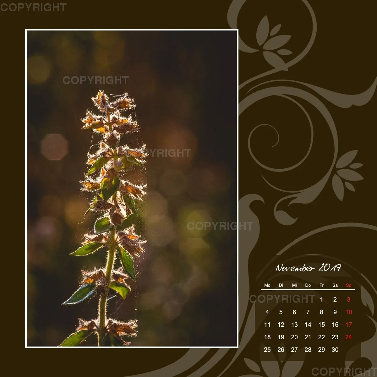 Fotokalender / Gartenzauber, 2019