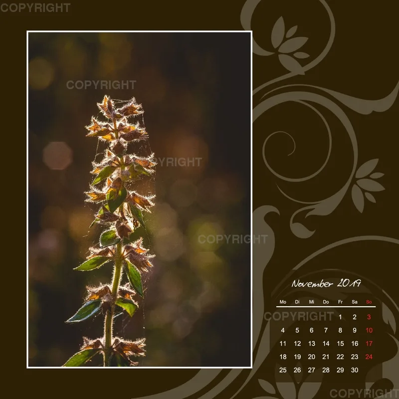 Fotokalender / Gartenzauber, 2019