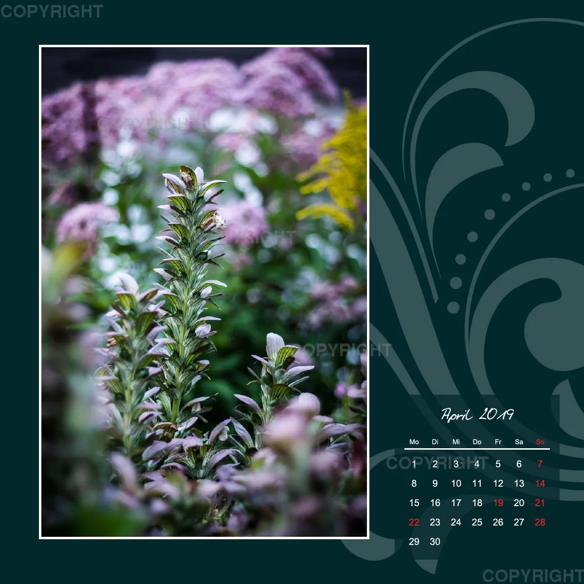 Fotokalender / Gartenzauber, 2019