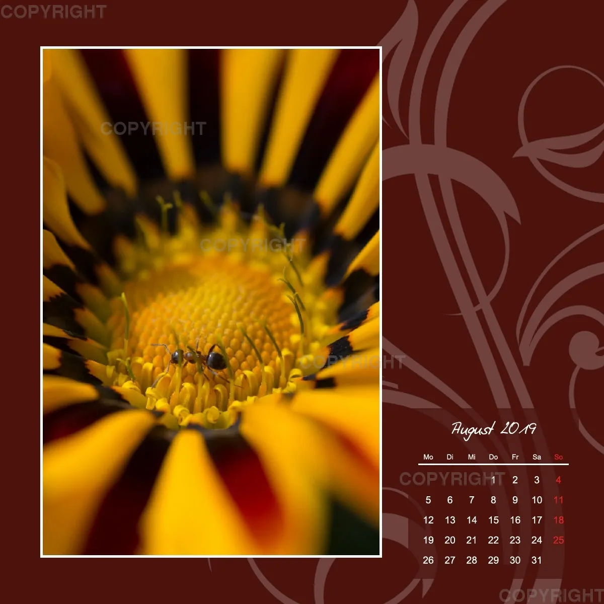 Fotokalender / Gartenzauber, 2019