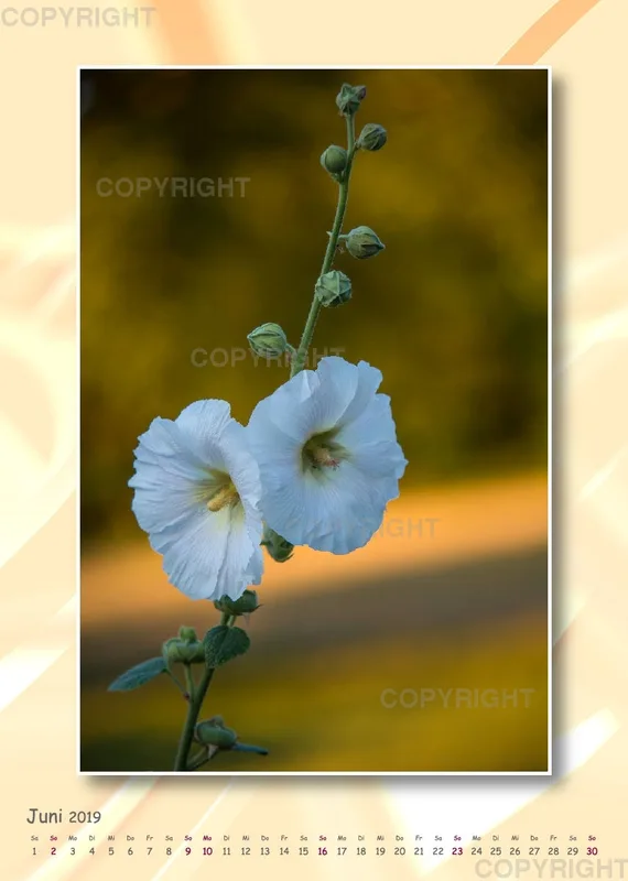 Fotokalender / Gartenzauber, 2019