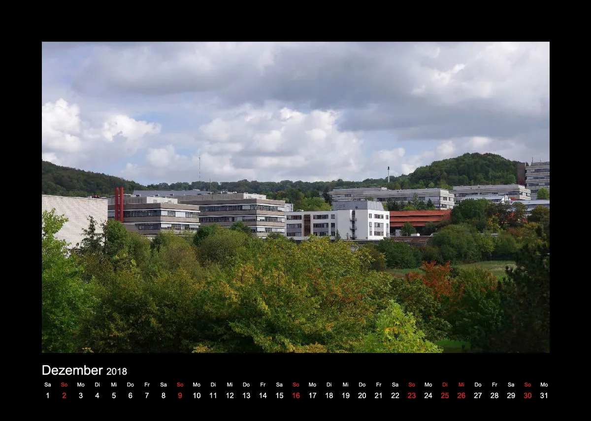 IMG Kalender 2019