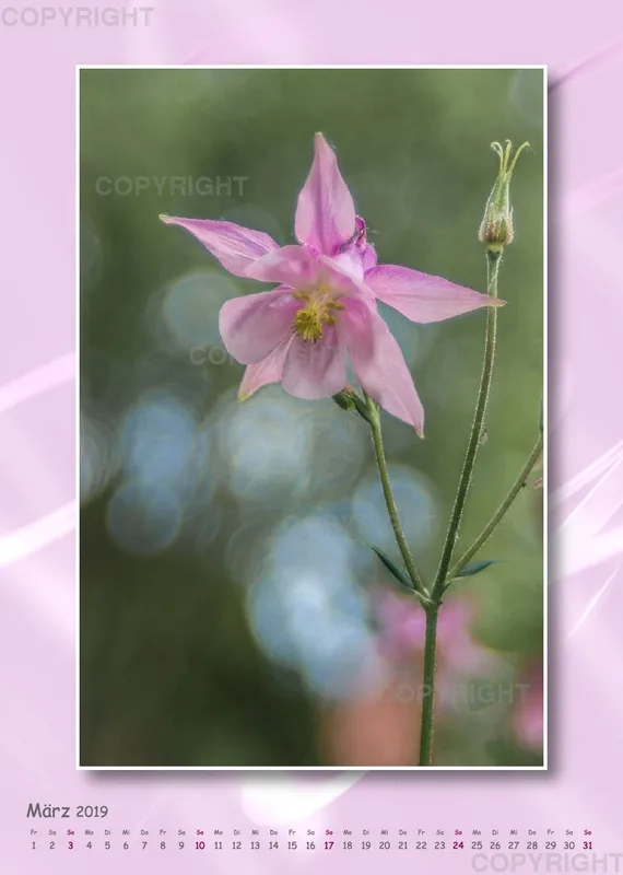 Fotokalender / Gartenzauber, 2019
