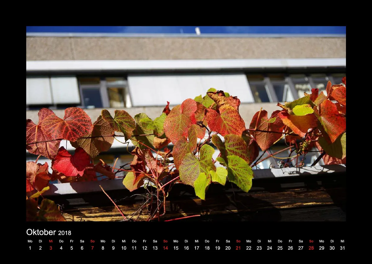 IMG Kalender 2019