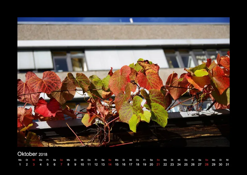 IMG Kalender 2019