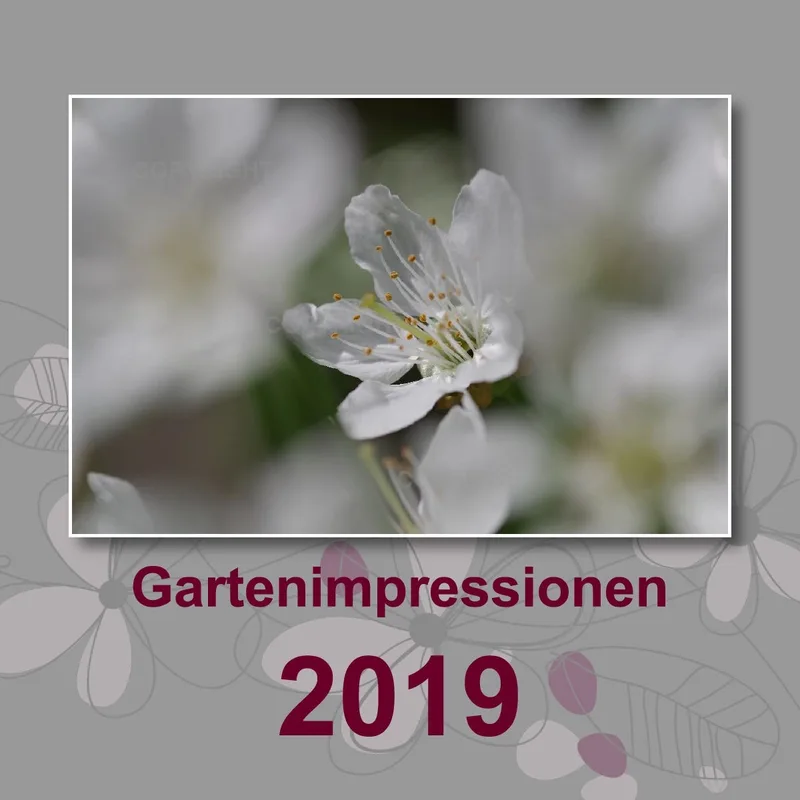 Gartenimpressionen