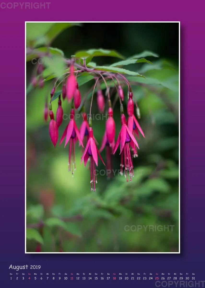 Fotokalender / Gartenzauber, 2019