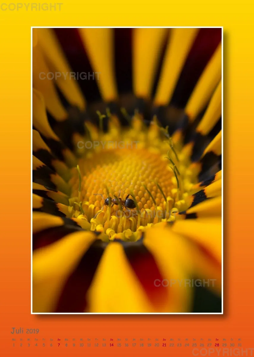 Fotokalender / Gartenzauber, 2019