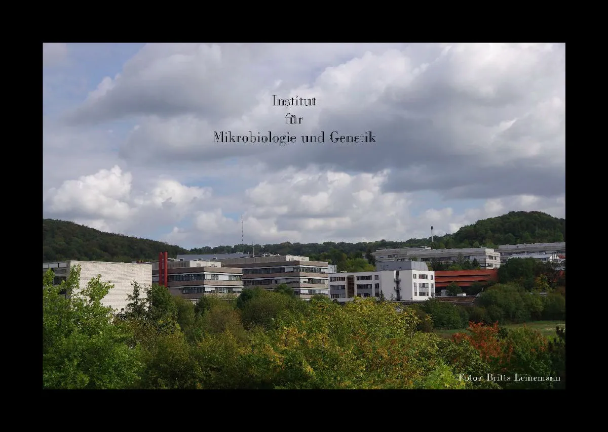 IMG Kalender 2019