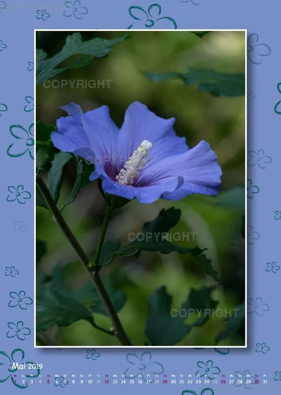Fotokalender / Gartenzauber, 2019