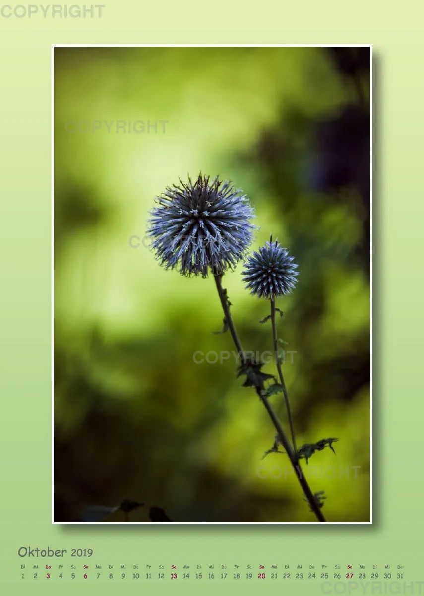 Fotokalender / Gartenzauber, 2019