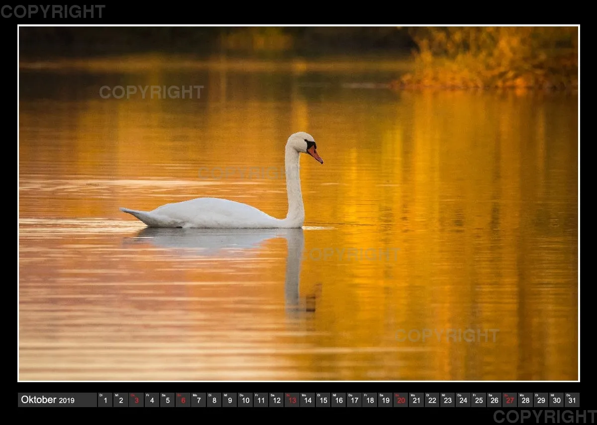 Fotokalender / Northeimer Kiesseen, 2019