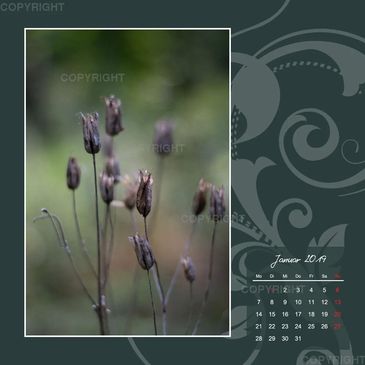 Fotokalender / Gartenzauber, 2019