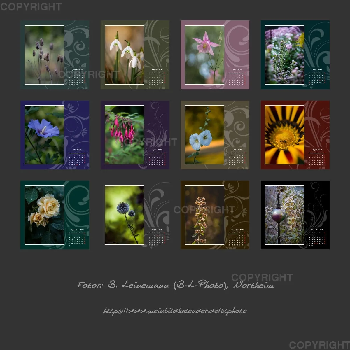 Fotokalender / Gartenzauber, 2019