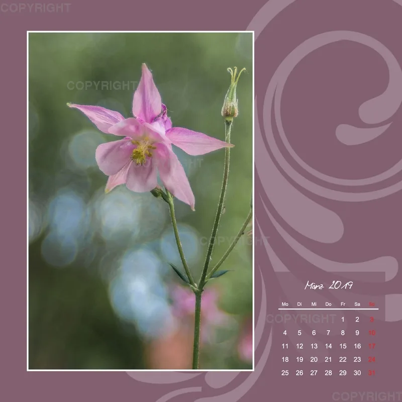 Fotokalender / Gartenzauber, 2019