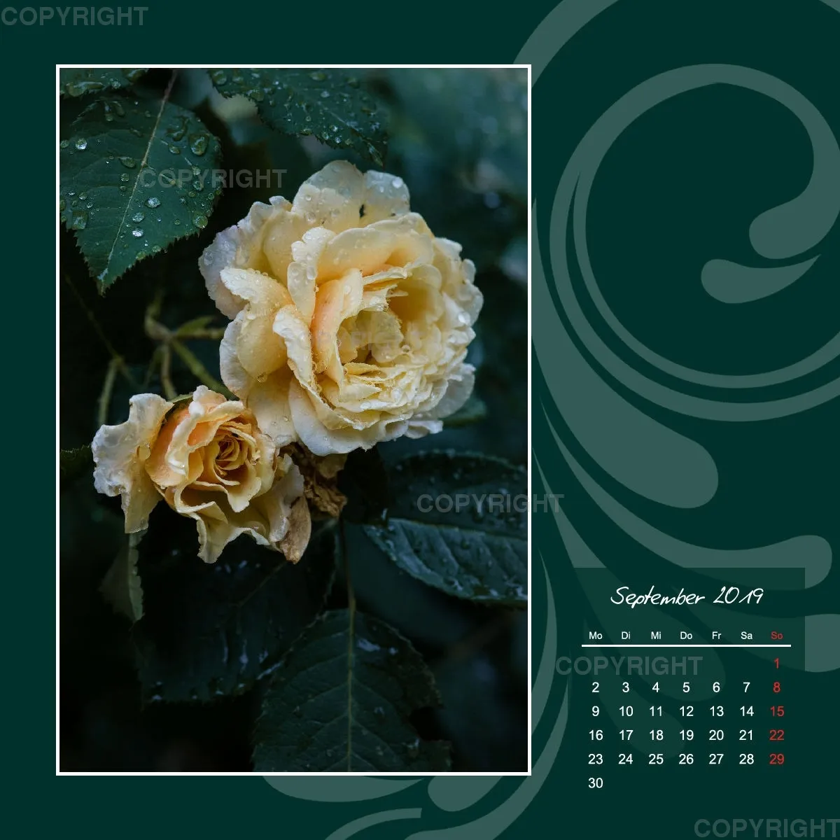 Fotokalender / Gartenzauber, 2019