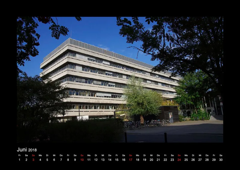IMG Kalender 2019