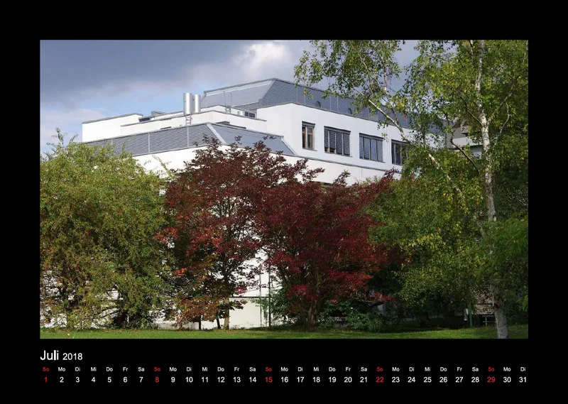 IMG Kalender 2019