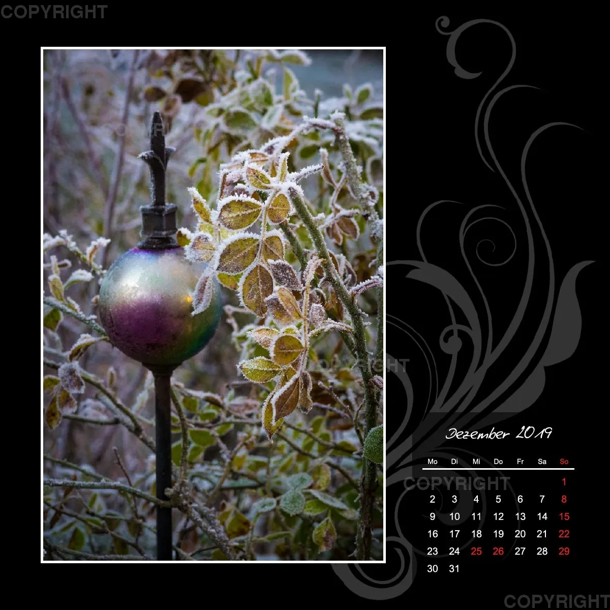 Fotokalender / Gartenzauber, 2019