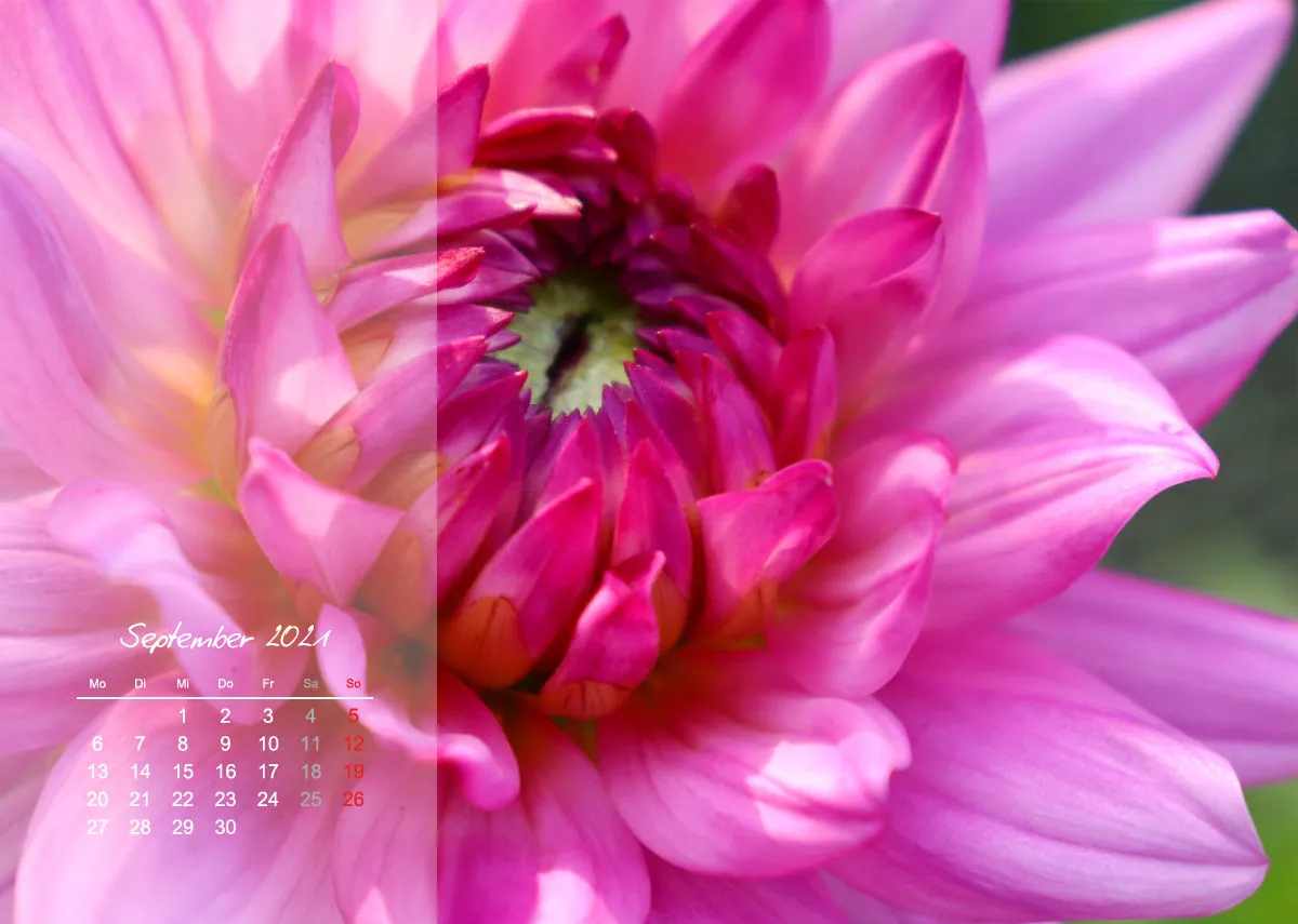 Fotokalender / Nr. 3