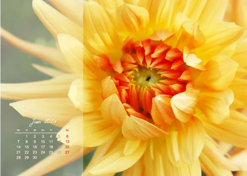 Fotokalender / Nr. 3