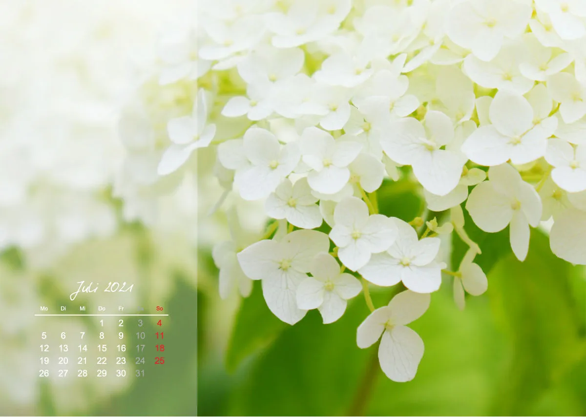 Fotokalender / Nr. 3