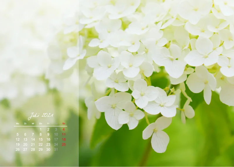 Fotokalender / Nr. 3